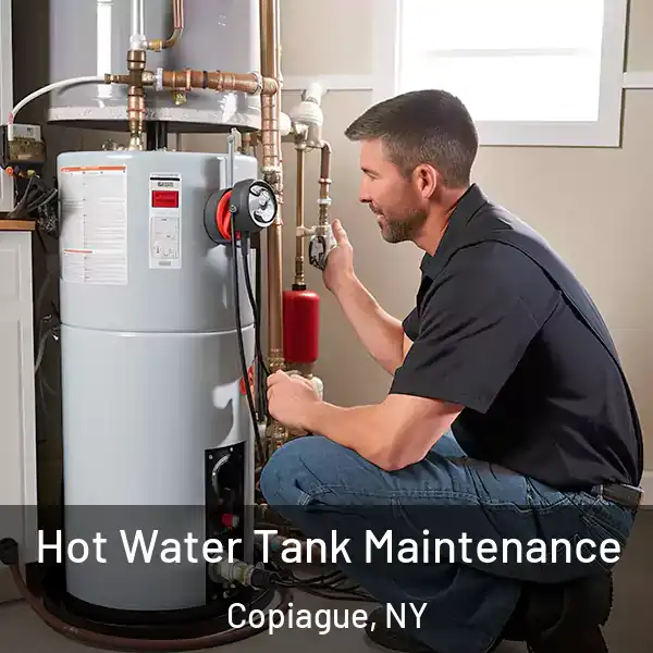  Hot Water Tank Maintenance Copiague, NY
