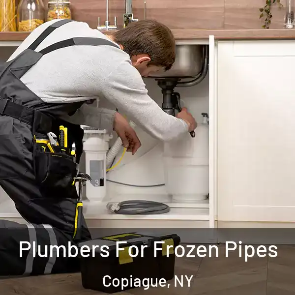  Plumbers For Frozen Pipes Copiague, NY