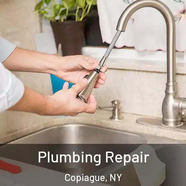  Plumbing Repair Copiague, NY