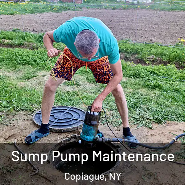  Sump Pump Maintenance Copiague, NY
