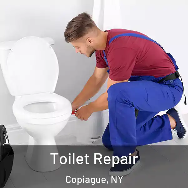  Toilet Repair Copiague, NY
