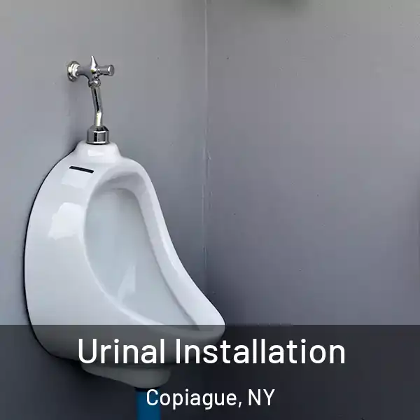  Urinal Installation Copiague, NY