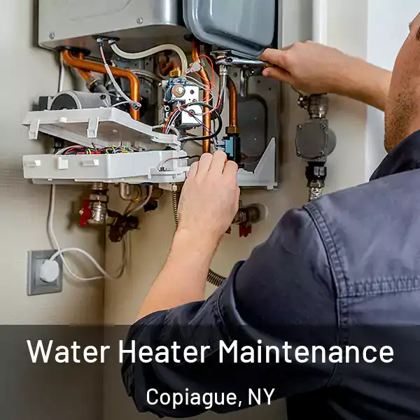  Water Heater Maintenance Copiague, NY