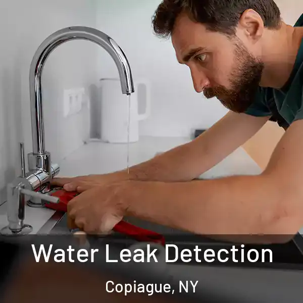  Water Leak Detection Copiague, NY